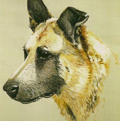 Krijttekening hond