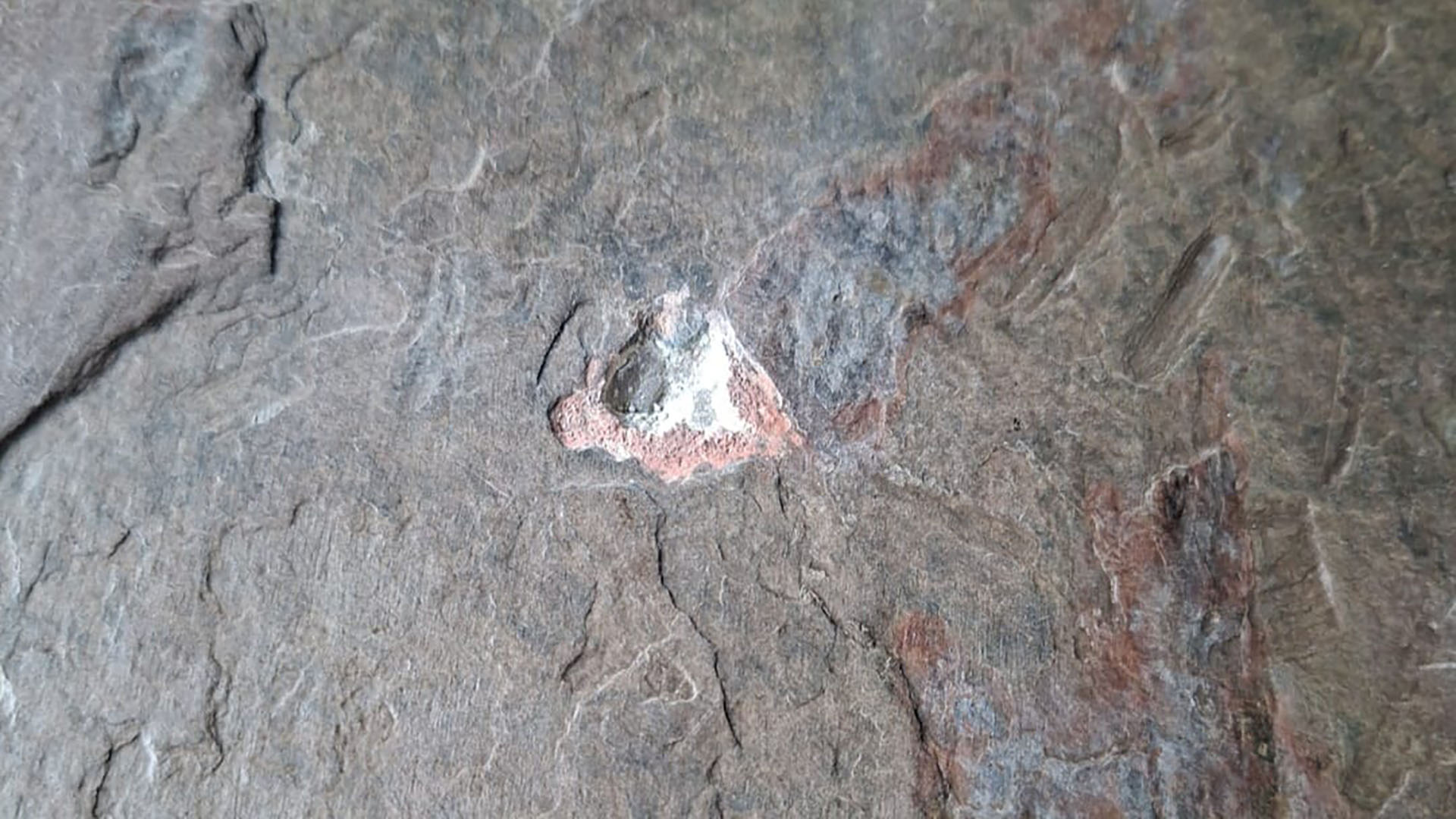 Reparatie natuurstenen vloer - voor